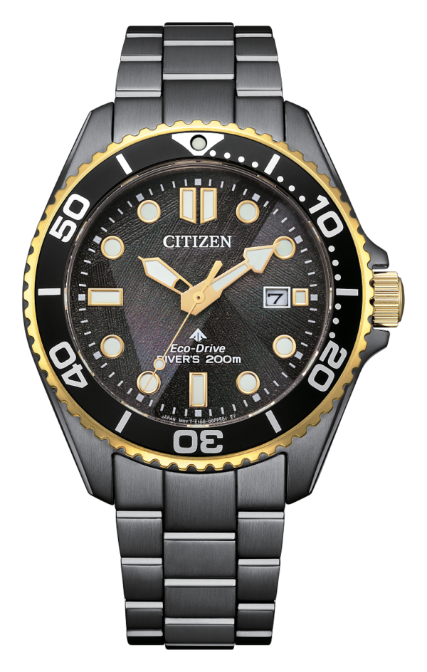Citizen Promaster Dive Eco-Drive 40.6MM Watch (CT4038)
