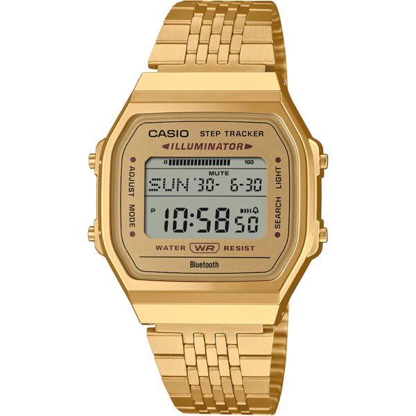 Casio ABL-100WEG-9A Watch